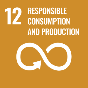 Responsible Consumption
